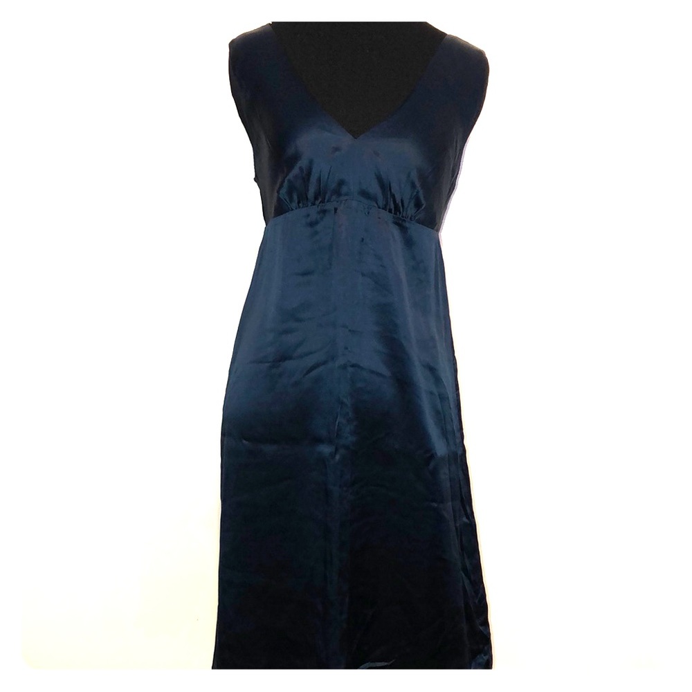 The Limited Silk Dress